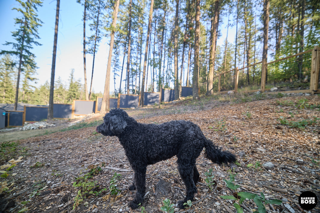 DIY Complete Corrugated Metal Fence Kit Framed in KDBT Lumber- The Yellowstone