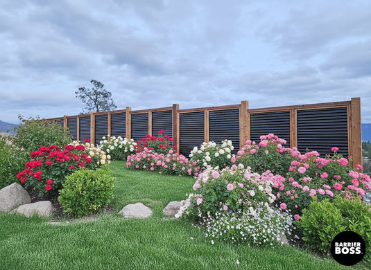 Black Corrugated Metal Fencing with Lush Gardening Growing Alongside.