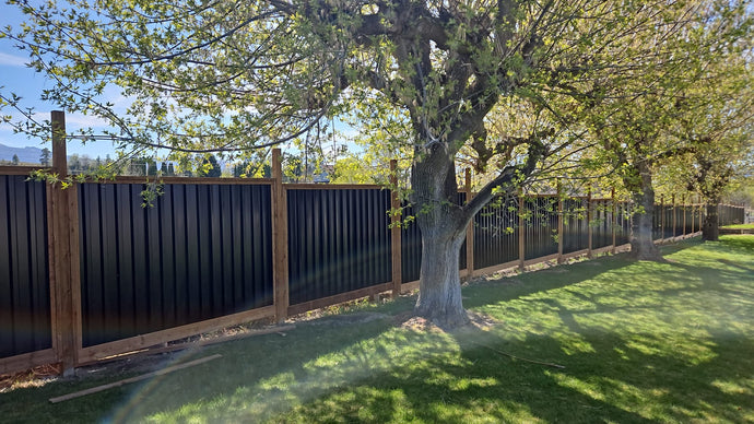 The Fence Forecast: 5 Trends to Dominate in 2025