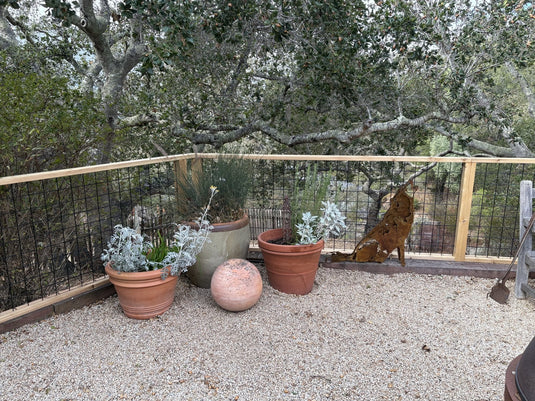 Black hog wire fence in hand-built wood frames around a gravel courtyard with terracotta pots and oak trees in Carmel Valley, California