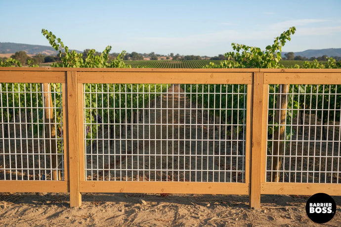 Protecting Vineyard Crops with Trendy Hog Wire Fencing