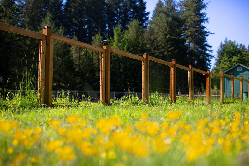 Load image into Gallery viewer, &quot;The Tough Panel&quot; Hog Wire Fence Panel - Gauge 6 Black Metal Hog Mesh - BarrierBoss™
