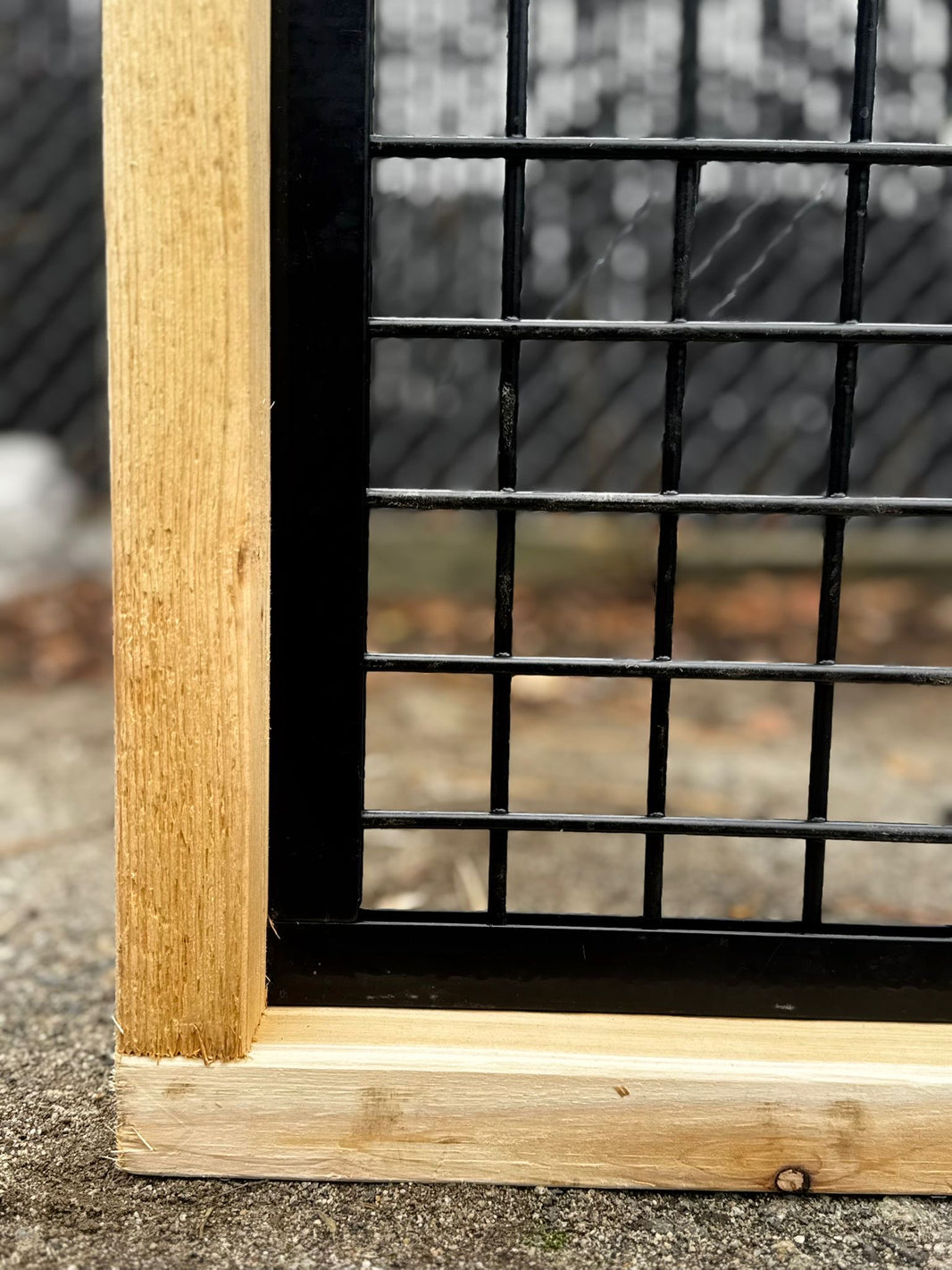 Hog Track Kit with wood frame and black hog wire panel