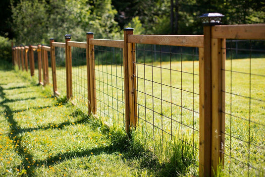 "The Tough Panel" Hog Wire Fence Panel - Gauge 6 Black Metal Hog Mesh 4" x 4" Openings (Framed or Unframed) - BarrierBoss™