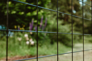 Hog Wire Fence Panel - Black, Gauge 6 Heavy Duty 6' x 8' Hog Fence Panels
